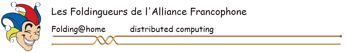 Les Foldingueurs de l'Alliance Francophone